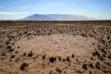 Behind the fairy circle, the mighty Brandberg Massif can be seen, which is with 2573 m Namibia's highest elevation