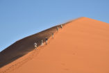 The ascent along the ridge of the dune is great fun for all visitors