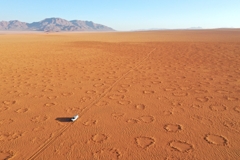 Fairy circles in the NamibRand Nature Reserve during the poor rainy season of 2022