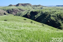 After exceptional rainfall in 2022, the landscape undergoes an extreme transformation